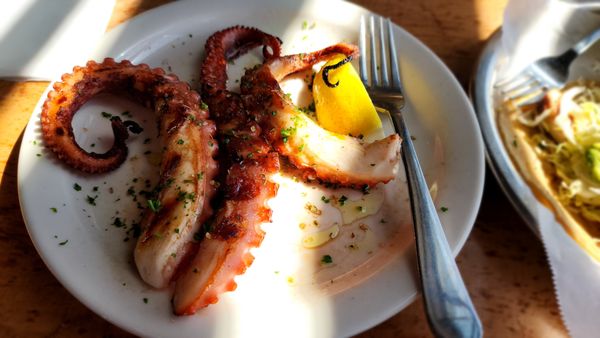 El Pescador Fish Market signature dishes Grilled Sea Bass Sandwich
Dungeness Crab Sandwich
Grilled Octopus